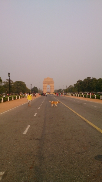Экспресс-путешествие по северу Индии и Непалу (октябрь 2014)