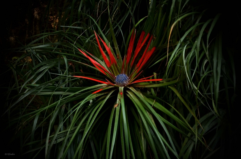 Впечатлениям вдогонку... - Португалия 2014