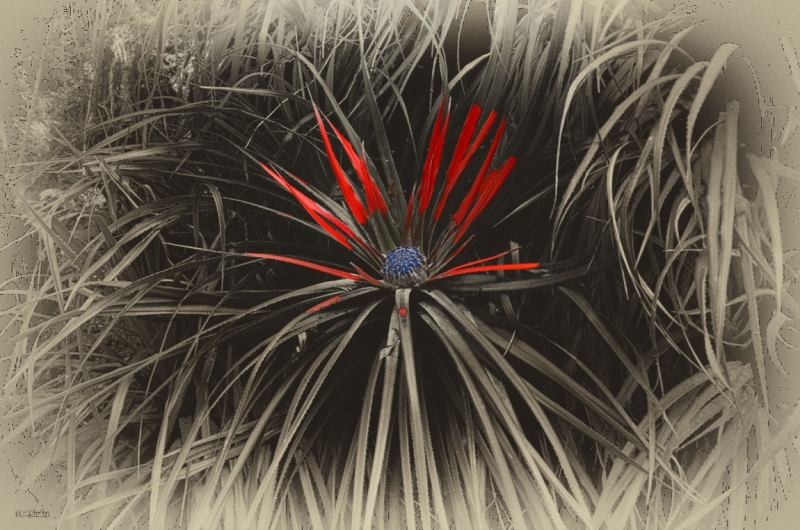 Впечатлениям вдогонку... - Португалия 2014