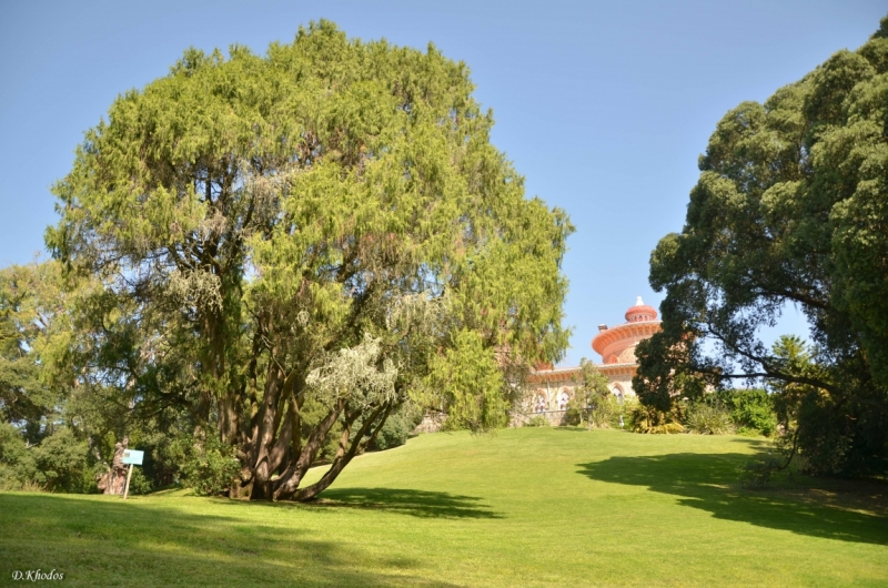 Впечатлениям вдогонку... - Португалия 2014