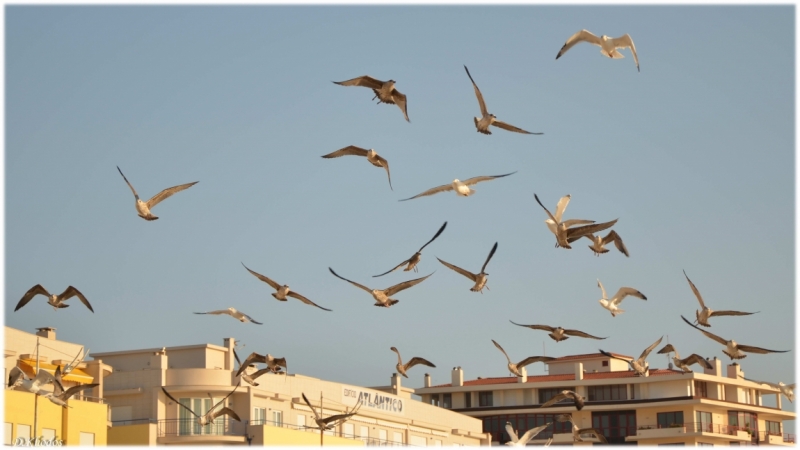 Впечатлениям вдогонку... - Португалия 2014