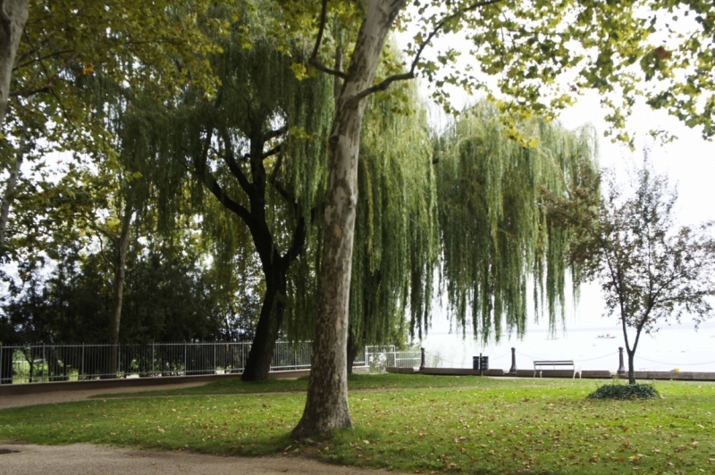 Дальнобойщики. 17 стран. 32 города. 28 дней.