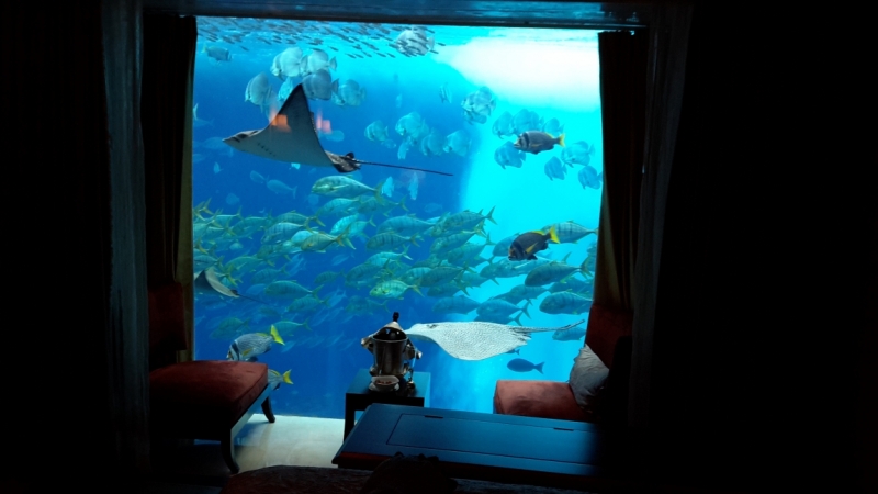 Atlantis The Palm Hotel Dubai. Номер Neptune Underwater Suite.  Один день под водой !