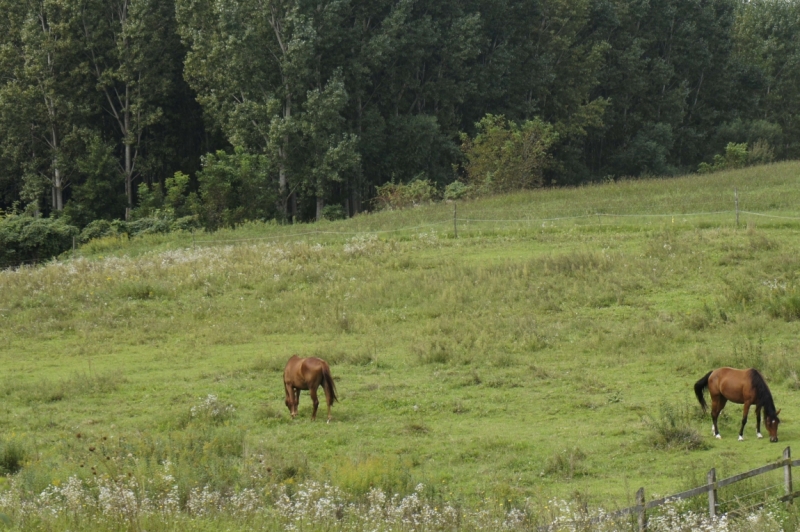 Дальнобойщики. 17 стран. 32 города. 28 дней.