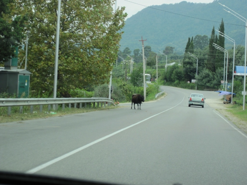 Абхазия, сентябрь 2014. Что приходило в голову за 4 дня.