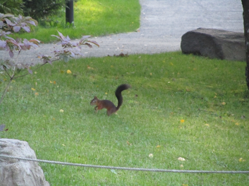Таллин. Столица, где нет толп и пробок
