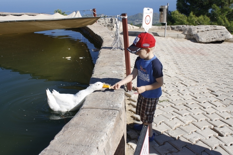 Проба Турции. Стамбул. Анталия. Каш. Памуккале. Сиде