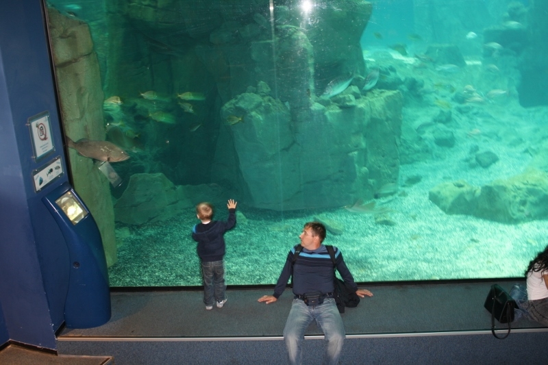 Проба Турции. Стамбул. Анталия. Каш. Памуккале. Сиде