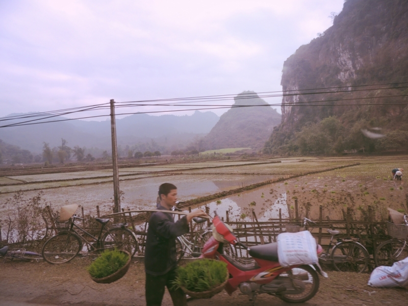 Вьетнам с севера на юг. Ханой – Халонг – Mai Chau – Хойан – Фукуок – Сайгон