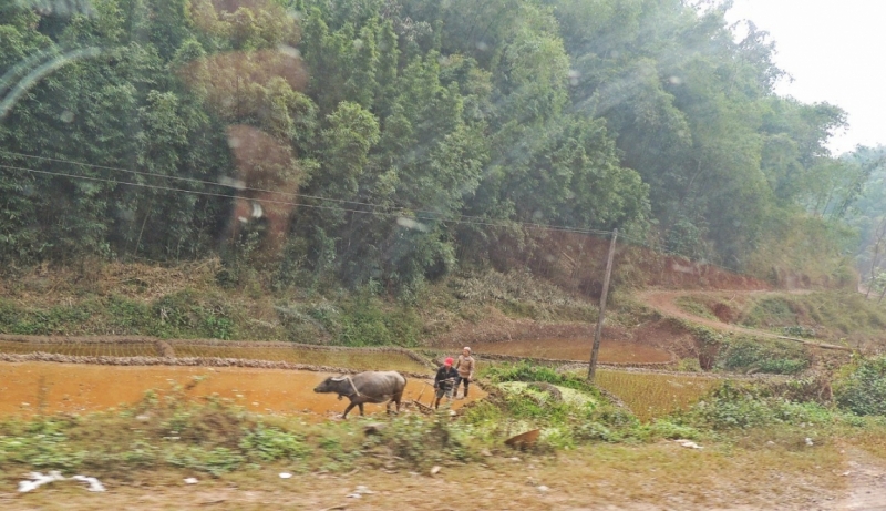 Вьетнам с севера на юг. Ханой – Халонг – Mai Chau – Хойан – Фукуок – Сайгон
