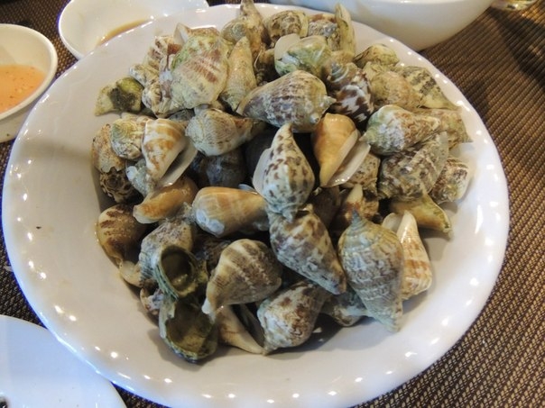 Вьетнам с севера на юг. Ханой – Халонг – Mai Chau – Хойан – Фукуок – Сайгон