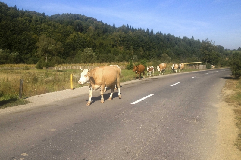Дальнобойщики. 17 стран. 32 города. 28 дней.
