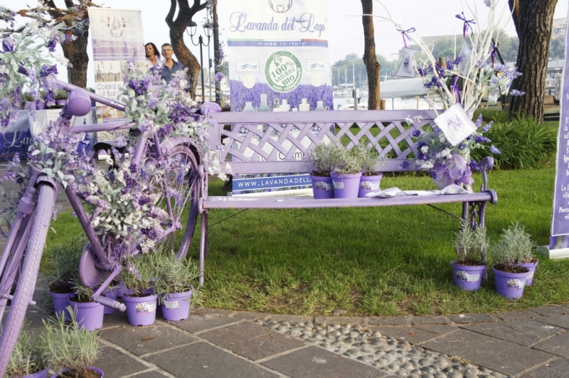 Дальнобойщики. 17 стран. 32 города. 28 дней.