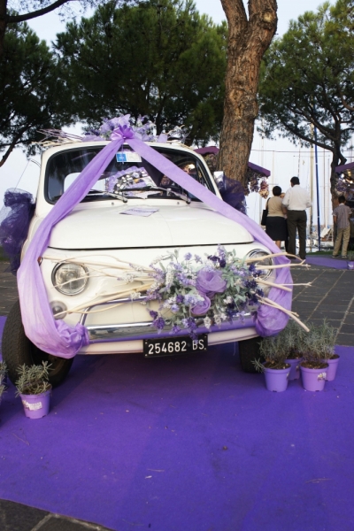 Дальнобойщики. 17 стран. 32 города. 28 дней.