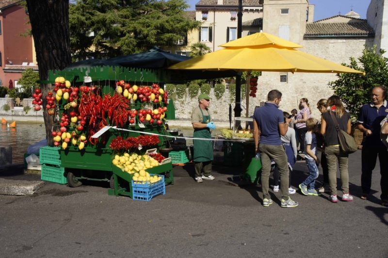 Дальнобойщики. 17 стран. 32 города. 28 дней.