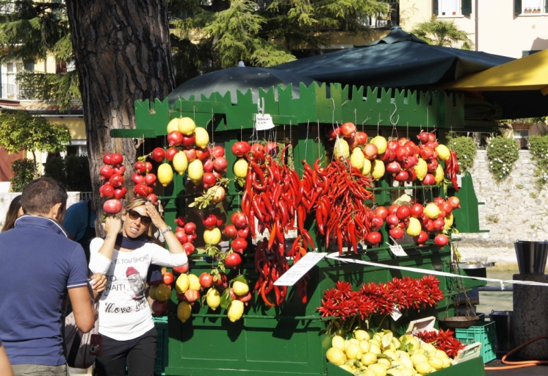 Дальнобойщики. 17 стран. 32 города. 28 дней.