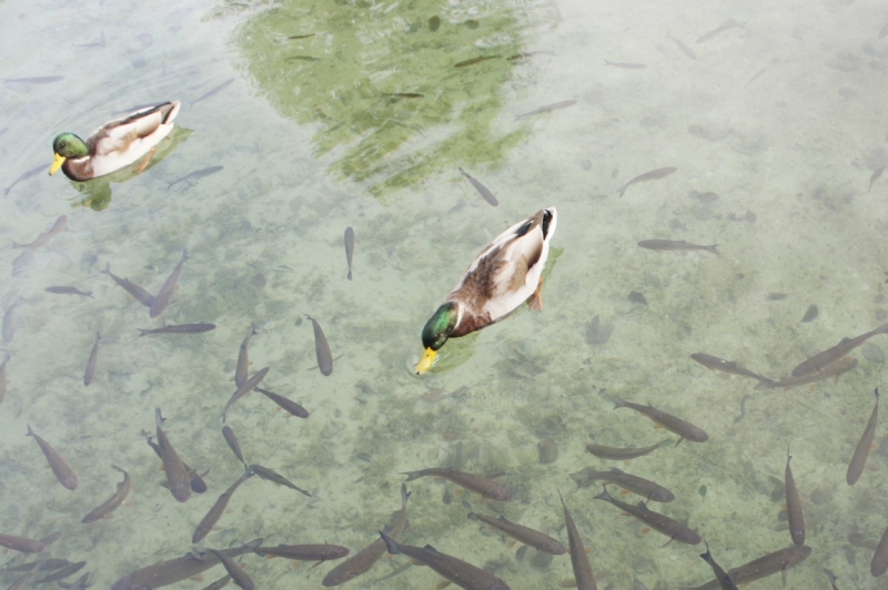 Дальнобойщики. 17 стран. 32 города. 28 дней.