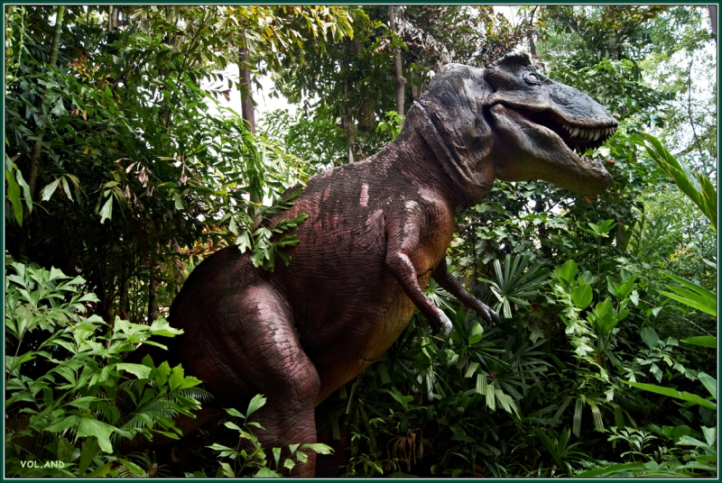 Пхукет моими глазами, фото-отчет (много фото)