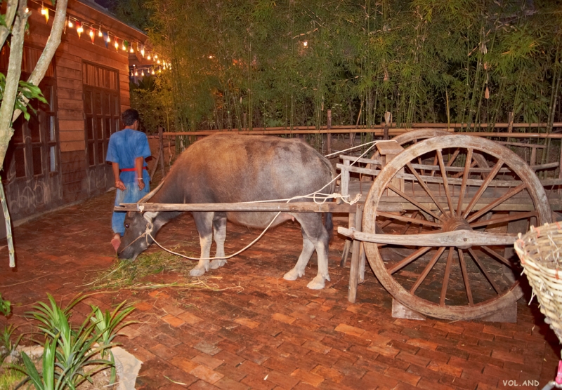 Пхукет моими глазами, фото-отчет (много фото)