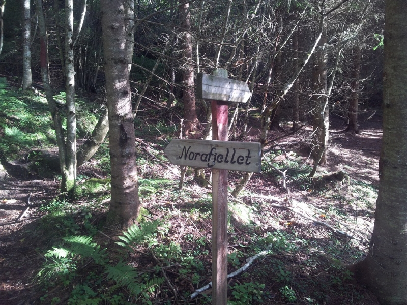 Норвежский дрифт в Ондалснесе. Møre og Romsdal. Norway (август 2014)