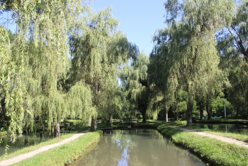 Две недели на ЮБК конец июля - начало августа 2014 или (Ялта - город счастья)