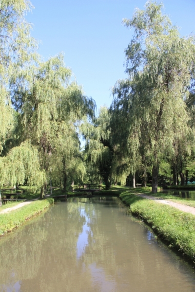 Две недели на ЮБК конец июля - начало августа 2014 или (Ялта - город счастья)