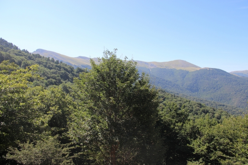 Две недели на ЮБК конец июля - начало августа 2014 или (Ялта - город счастья)