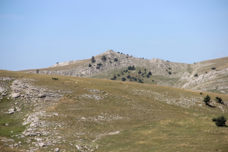 Две недели на ЮБК конец июля - начало августа 2014 или (Ялта - город счастья)