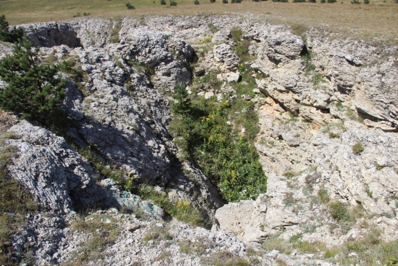 Две недели на ЮБК конец июля - начало августа 2014 или (Ялта - город счастья)