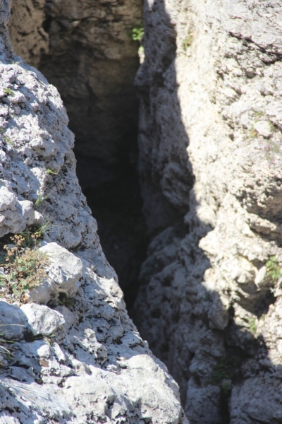 Две недели на ЮБК конец июля - начало августа 2014 или (Ялта - город счастья)