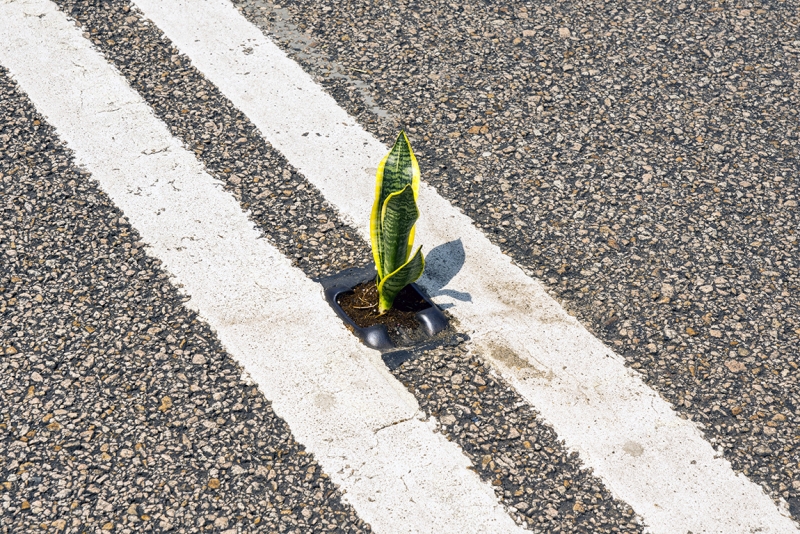 Пекин-Гуанчжоу-Гонконг октябрь 2014