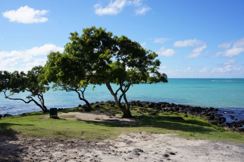 Маврикий. Май 2014.