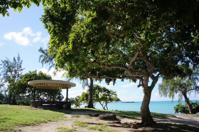 Маврикий. Май 2014.