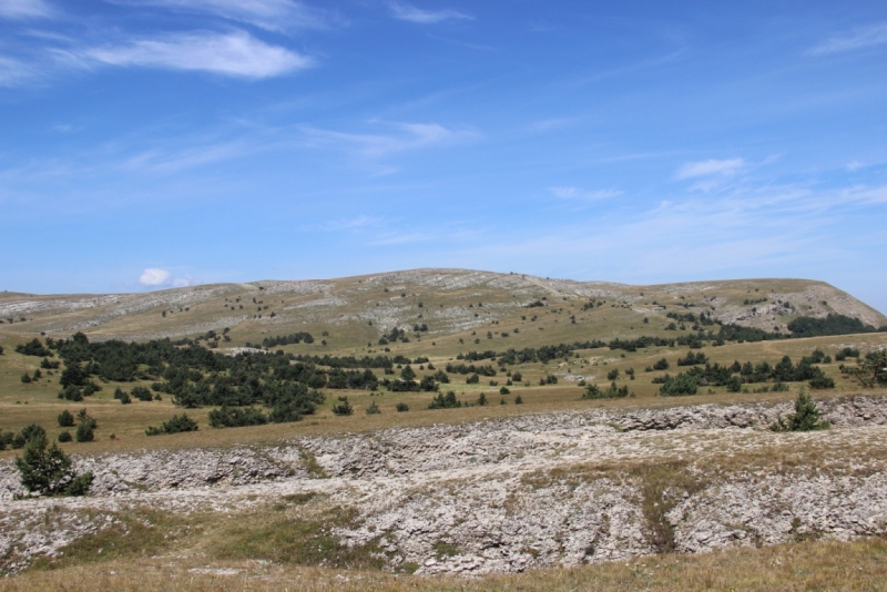 Две недели на ЮБК конец июля - начало августа 2014 или (Ялта - город счастья)