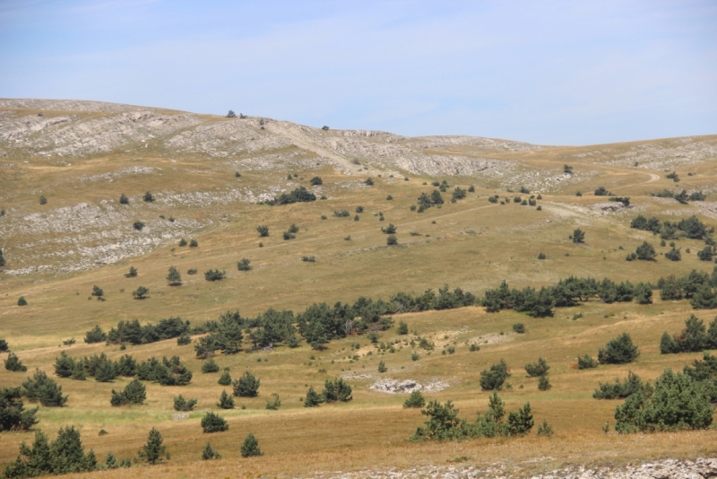 Две недели на ЮБК конец июля - начало августа 2014 или (Ялта - город счастья)