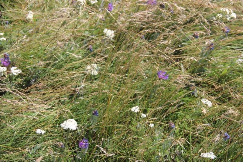 Две недели на ЮБК конец июля - начало августа 2014 или (Ялта - город счастья)