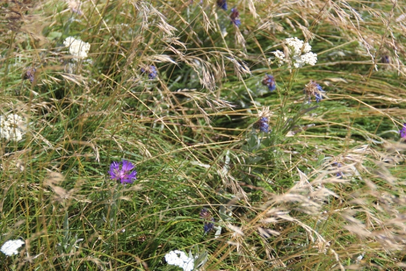 Две недели на ЮБК конец июля - начало августа 2014 или (Ялта - город счастья)