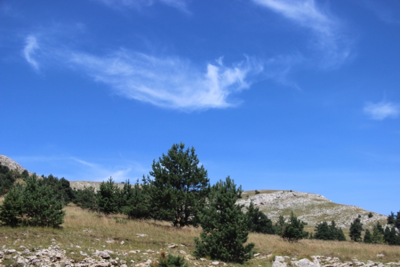 Две недели на ЮБК конец июля - начало августа 2014 или (Ялта - город счастья)