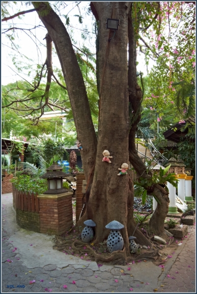 Пхукет моими глазами, фото-отчет (много фото)