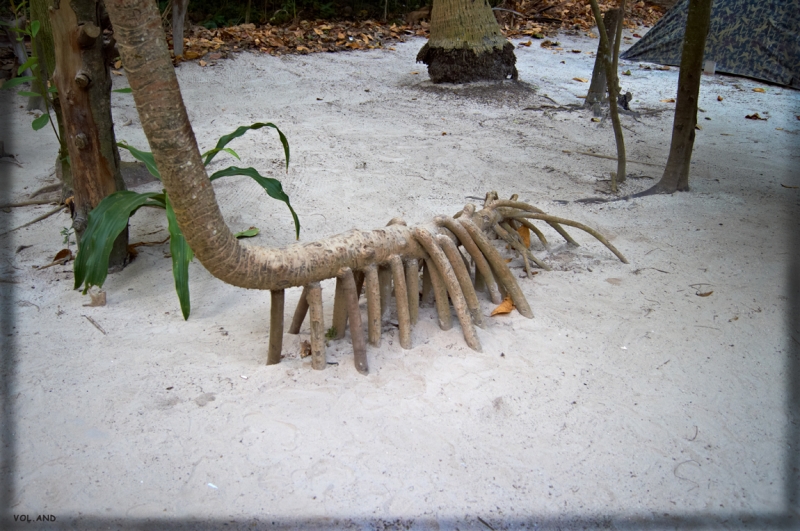 Пхукет моими глазами, фото-отчет (много фото)