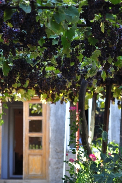 "Всё будет так, как надо, даже если по-другому". Грузия. Октябрь 2014