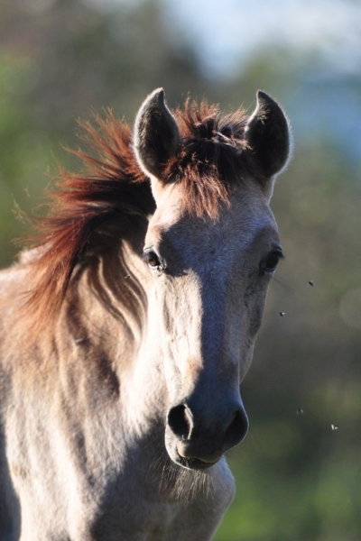"Всё будет так, как надо, даже если по-другому". Грузия. Октябрь 2014