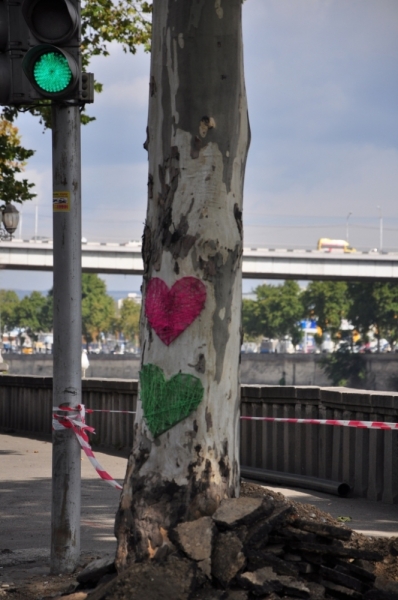 "Всё будет так, как надо, даже если по-другому". Грузия. Октябрь 2014