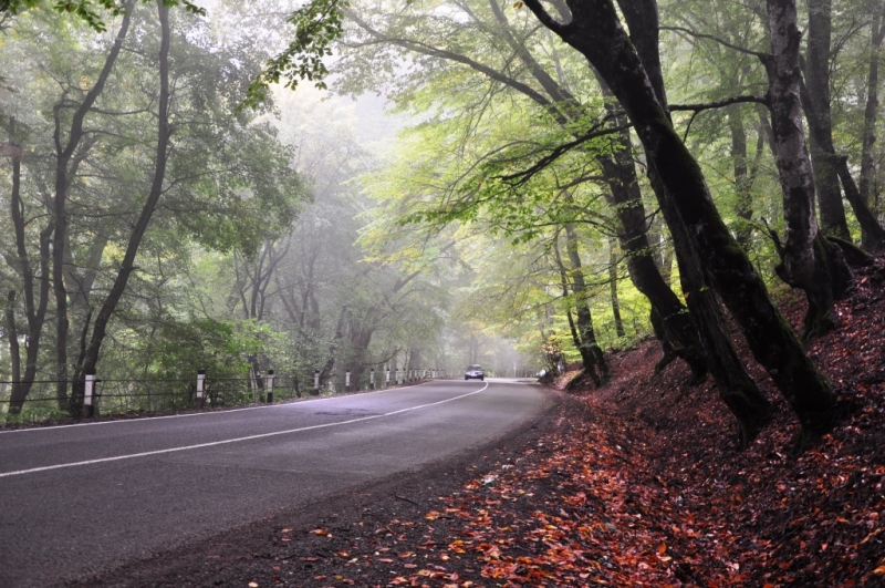 "Всё будет так, как надо, даже если по-другому". Грузия. Октябрь 2014