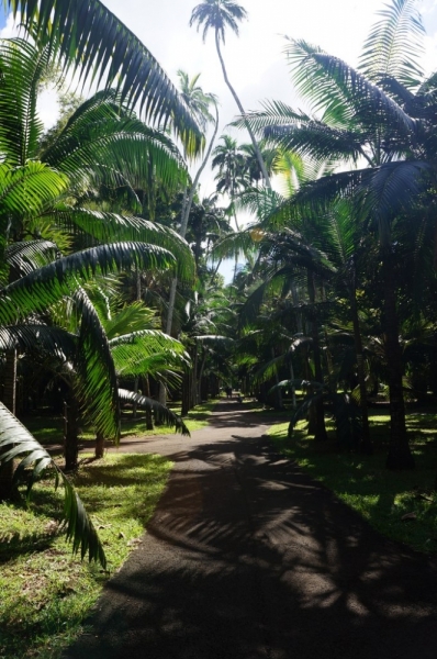 Маврикий. Май 2014.