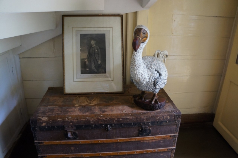 Маврикий. Май 2014.