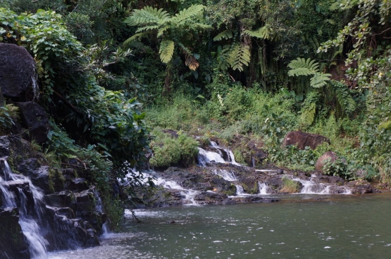 Маврикий. Май 2014.