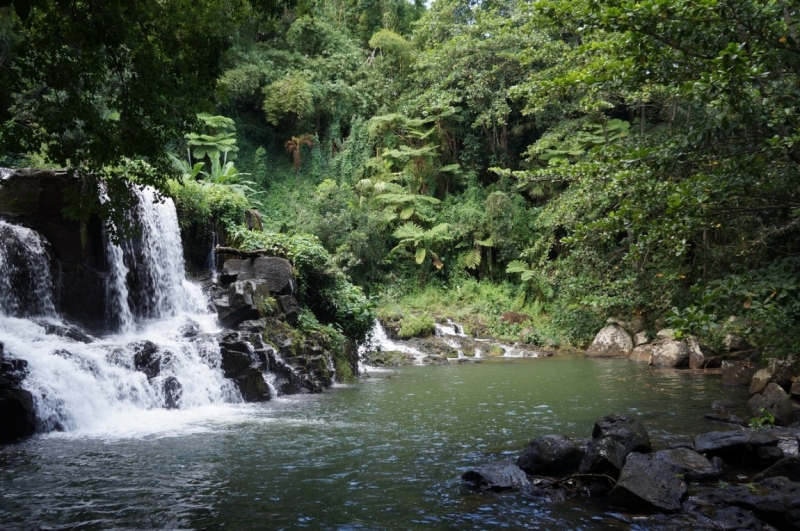 Маврикий. Май 2014.