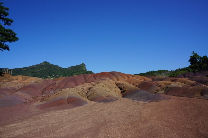 Маврикий. Май 2014.