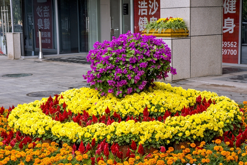 Пекин-Гуанчжоу-Гонконг октябрь 2014